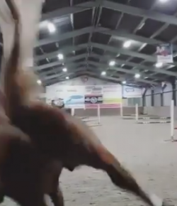 ‘Oh Crap’ Monday