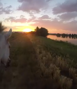 World Equestrian Brands Helmet Cam: Slow-Mo Sunset Gallop