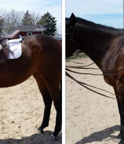 Best of Craigslist: Reason For Sale?