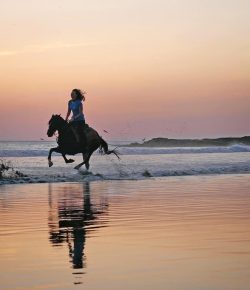 Photo Challenge: 18 Gorgeous Horsey Sunsets