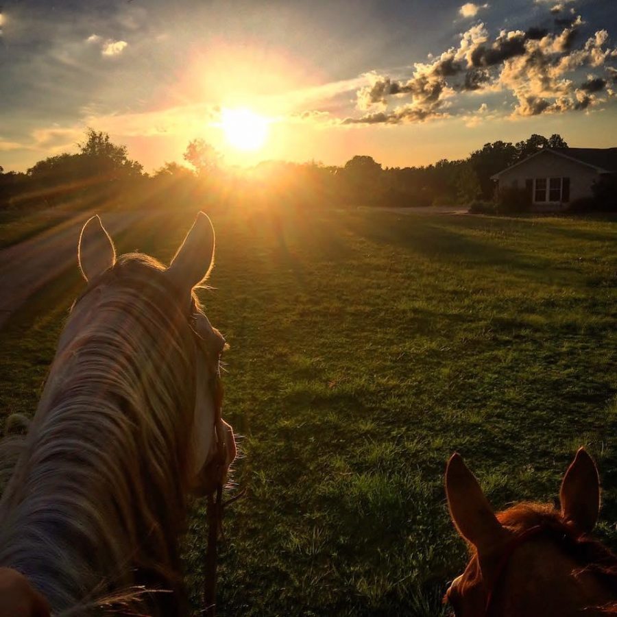 Photo Challenge 18 Horsey Sunsets HORSE NATION