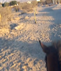 World Equestrian Brands Helmet Cam: OTTB Archery