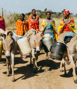 Standing Ovation by Ovation Riding: Brooke USA’s Women4Donkeys