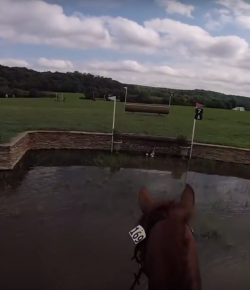 World Equestrian Brands Helmet Cam