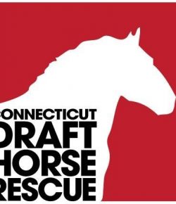 Standing Ovation by Ovation Riding