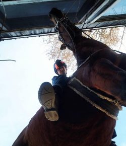 Photo Challenge: 17 Unique Perspectives