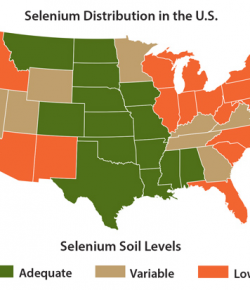 Kentucky Performance Products: Picking Hay For Your Horse