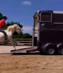 Total Saddle Fit Sunday Video