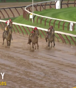 EcoVet Performance of the Week: Whitney Stakes