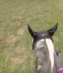 World Equestrian Brands Helmet Cam