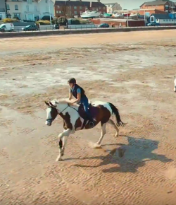 World Equestrian Brands Drone Cam: Gallop on Hoylake Beach