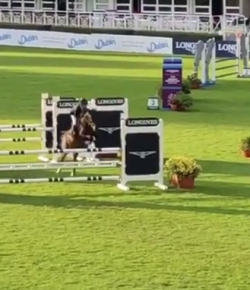 EcoVet Performance of the Week