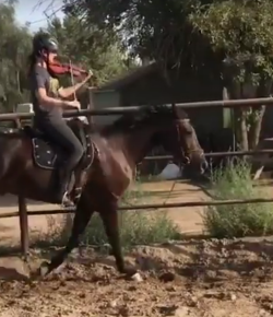 Total Saddle Fit Sunday Video: The Multitasker