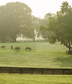 SmartPak Monday Morning Feed: Equine Encephalitis