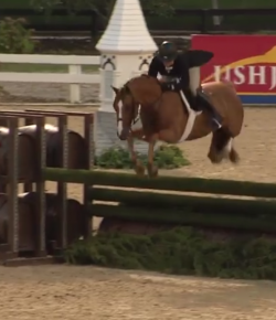 EcoVet Performance of the Week: Private Practice