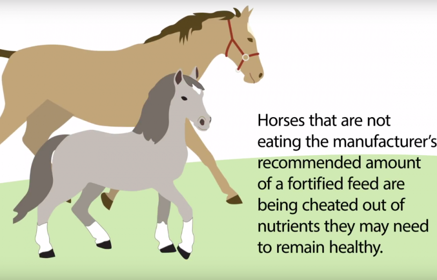 Kentucky Performance Products Video What Horses Need Extra Vitamins? HORSE NATION
