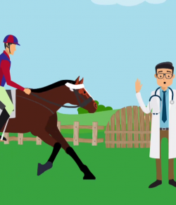 Total Saddle Fit Sunday Video: WEG Endurance