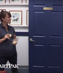 SmartPak Monday Morning Feed: If Horses Were People, Broodmare Edition