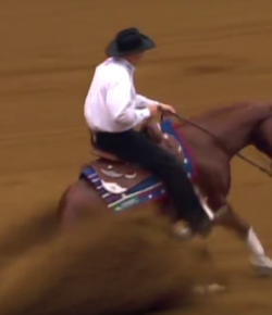 EcoVet Classic Performance of the Week