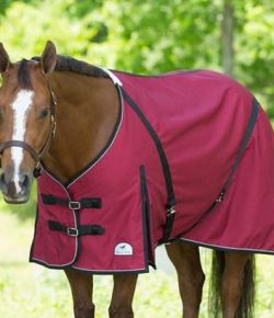 SmartPak Labor Day Morning Feed: Labor Day Sale Starts Now!