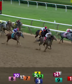 EcoVet Performance of the Week: Yoshida