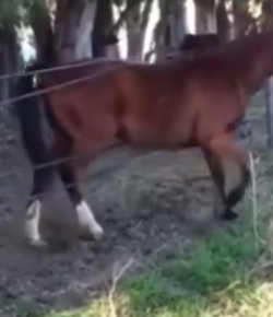 KER Friday Video: That Friday Feeling