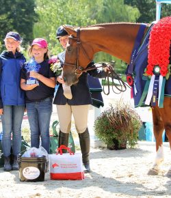 Standing Ovation by Ovation Riding: New Vocations All-Thoroughbred Charity Horse Show