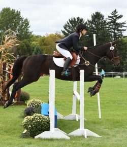 Senior & Young Horses With Tanya Moths, Presented by Draper Therapies