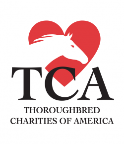 Standing Ovation by Ovation Riding: Thoroughbred Charities of America Horses First Fund