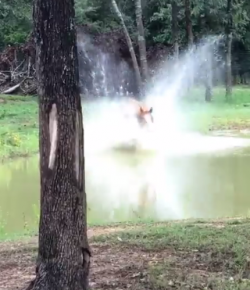 KER Friday Video: Did Not See That Coming