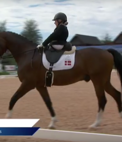 EcoVet Performance of the Week: Stinna Tange Kaastrup