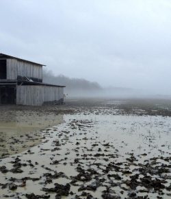 KY Performance Products: Mud Management