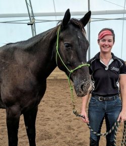Standing Ovation by Ovation Riding: Appy Fest