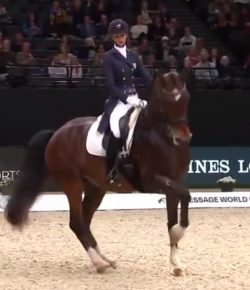 EcoVet Performance of the Week: Laura Graves