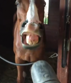 KER Friday Video: Cleaning With Sharpie