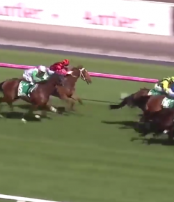 Lighthoof Tuesday Video: Winx Wins 28