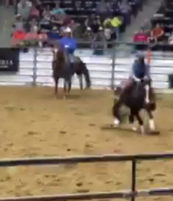 Ecovet Performance of the Week: Bareback Cutting