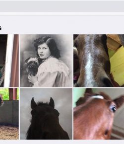 Your Turn: Good Try, iPad