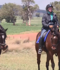 Standing Ovation by Ovation Riding: Sue Ellen Lovett