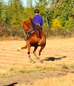 ‘Oh Crap’ Monday