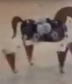 Lighthoof Video: Mechanical Horse