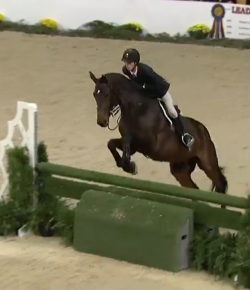 EcoVet Performance of the Week: Brian Moggre