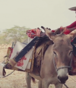 Standing Ovation by Ovation Riding: Biblioburro