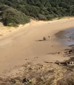 KER Friday Video: Highlights From Race the Wild Coast