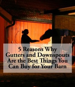 Lighthoof: 5 Reasons to Love Gutters From a Farm Design Consultant