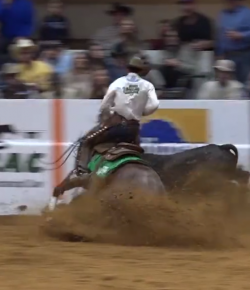 EcoVet Performance of the Week: Roan Olena Oak