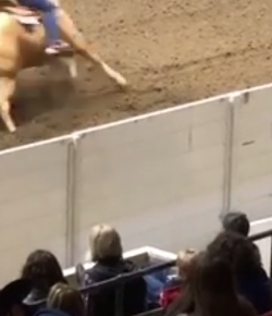 KER Friday Video: Watching & Learning