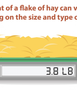 Kentucky Performance Products: Forage Energy