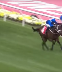 Total Saddle Fit Sunday Video: Winx Wins 29