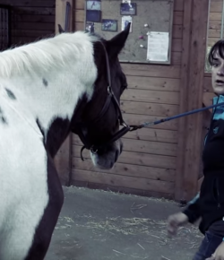 SmartPak Monday Morning Feed, Halloween Edition: Stuff Riders Spook At